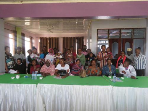 Consultative meeting with mothers in the PRECISE network